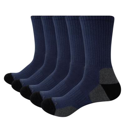 China Factory Price Breathable Cotton Socks Summer Comfortable Cushion Socks Men's Casual Socks for sale