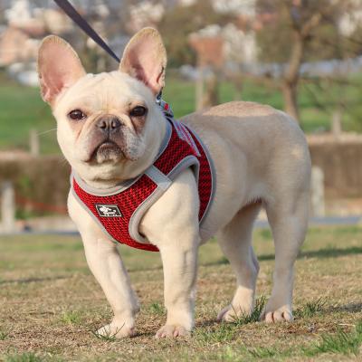 China Thoughtful Honeycomb Design Breathable Pet Collar Set Adjustable Waterproof Nylon Polyester Chest Dog Harness for sale