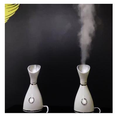 China Nourishing Lamp Spray Electric Enlarging Bottle Stand Up Nano Ionic Hot And Cold Facial Steamer Facial Mister for sale