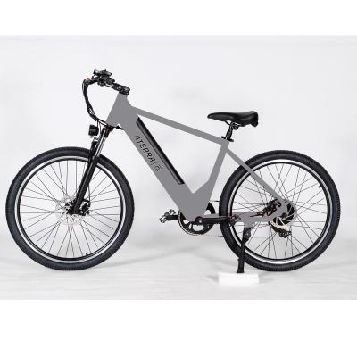 China Aluminum alloy Madefor 36v 250w stock portable electric mountain bike/electric bicycle/road ebike for sale