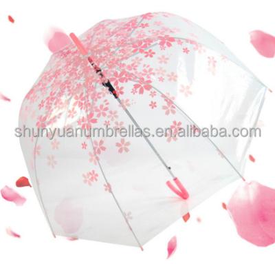 China POE/PVC Cherry Blossom POE Umbrella Transparent Rainproof Straight Promotionb Automatic Open Plastic Parasol for sale