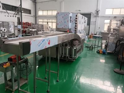 China Tropicalized Ampoule Filling Line for Herbal Extracts and Antimalarials GMP Compliant, 1-20ml Versatility for sale