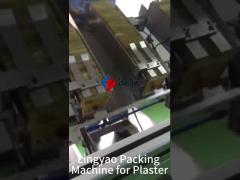 Automatic Stainless Steel Pharma Packing Machine with PLC Control