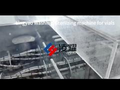 Advanced Intelligent Vial Washing Machine for Liquid Medicine Filling with Ultrasonic Washing