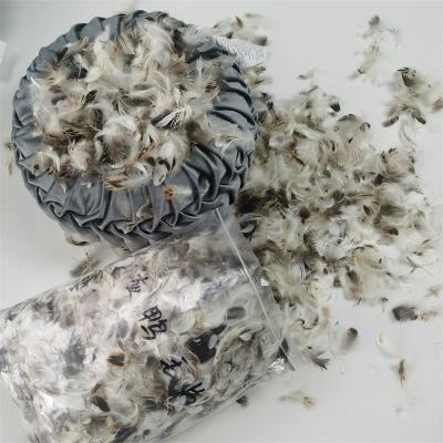 China Wholesale Top Fill Washed Gray Goose/Duck Feather Down Pieces Insert Pure Naturals For Pillow Quilt Use for sale