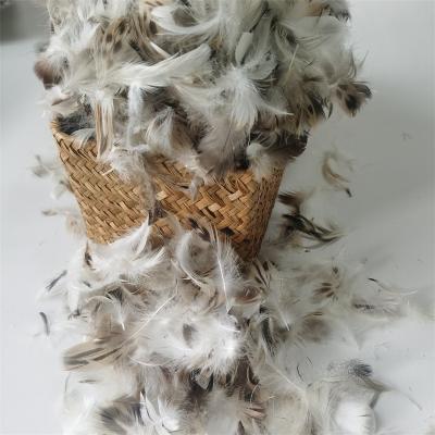 China Wholesale Washed Natural Raw Goose Duck Pure Feather Fiber Down High Fill For Pillow Quilt Use for sale