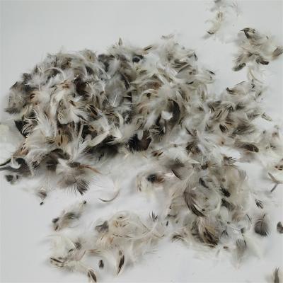 China Factory Washed Direct Wholesale Natural Pure Gray Raw Goose/Duck Feather Down Sticky Pieces insert for Pillow Quilt Use for sale