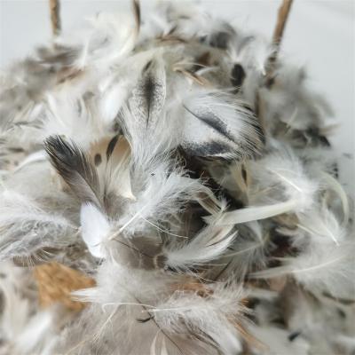 China Gray Goose/Duck Feather Insert Fiber Down Pure Raw Natural Washable High Quality Washed For Pillow Quilt Use for sale