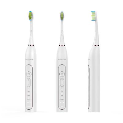 China Dupont 3D Soft Stiffened Sonic Rechargeable Ultrasonic Toothbrush Electric Toothbrush Custom Cordless Electric Toothbrush for sale