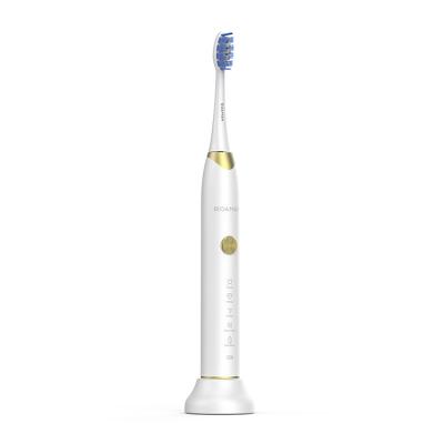 China Dupont 3D Soft Stiffens Oral Hygiene Teeth Whitening Sonic Rechargeable Toothbrush CE Certificated 2 Years Warranty for sale