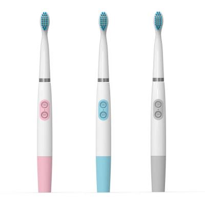 China 120mins IPX7 Rechargeable Sonic Toothbrush ROMAN Sonic Electric Toothbrush for Adults for sale