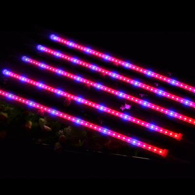 China Fruit vegetable greenhouse flower Pitaya growing lights and plant use red and blue led tube lighting type 120 degree t5 15w fixture full spectrum led grow light for sale