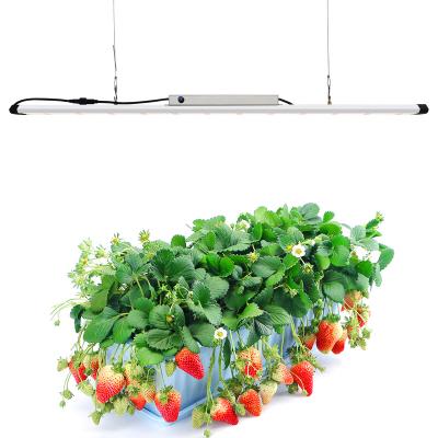 China Spectrum Can Be Customized Liweida Led Grow Light 660nm 100W Waterproof Greenhouse Light 660nm 100W Light Red White Led Hydroponic Growing Systems for sale