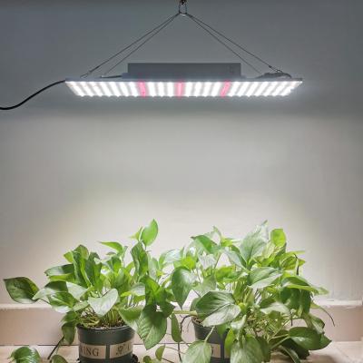 China Liweida 240W 480W Good Spectrum IP65 Fin Waterproof Heat Dissipation Full Aluminum And Temperature Control System Led Quantum Grow Lighing For Orchid for sale