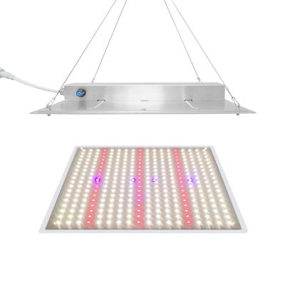 China Seed Starting Quantum Dish Grow Light Full Spectrum IR 3030 UV EPP 3 umol/J LED Lights For Greenhouse Agriculture for sale