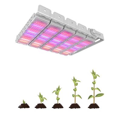 China Seed Seed Growing Full Spectrum Parity High PPFD Plants Grow Lamp 300w 600w Waterproof LED Growing Lights For Greenhouse for sale