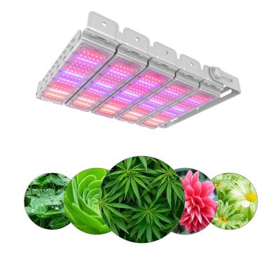 China Wavelength can be customized 600w led grow light with 2pcs tunnel grow light 300w 3000K 6500K waterproof led grow light 600w for sale