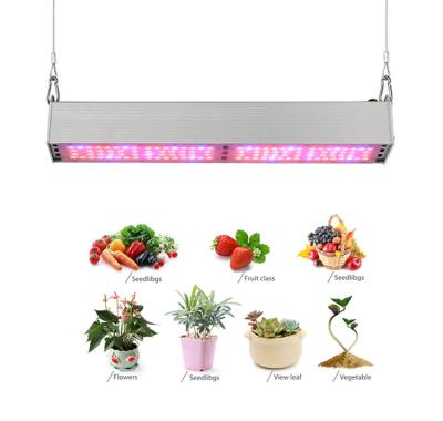 China Wavelength can be customized high power full spectrum 100W 150W 200w waterproof smd led grow light for indoor plants hydroponic greenhouse led plant light for sale