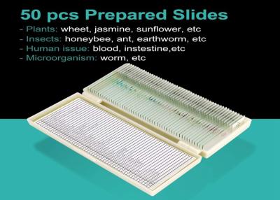 Chine Le microscope préparé par corps humain diapositive 100 morceaux avec des labels d'identification à vendre
