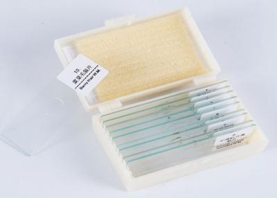 China De klaar Gemaakte Microscoop glijdt 76.2×25.6×1.2mm voor Biologisch Laboratorium Te koop