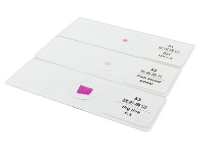 중국 100pcs Histopathology 교육 사용이 준비된 고급 생물학에 의하여 미끄러집니다 판매용