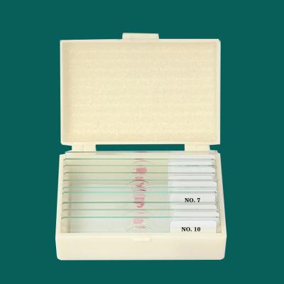 China De medisch Onderzoek Gebruikte Microbiologie Amoeba Prepared Glass Microscope Slides voor het Onderwijs Te koop