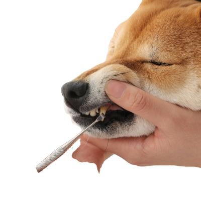 China Hot Selling Viable Cosmetic Teeth Pet Dentistry Cleaning For Dogs Cats Pencil Dog Teeth Dental Cleaning for sale