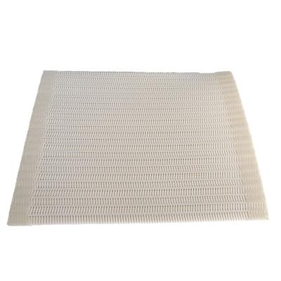 China Wear resistant Guaranteed Quality Desulfurization Fabrics Press Cloth Polyester Filter Belts for sale