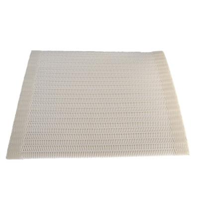 China Wear resistant Factory Directly Wholesale Desulfurization Dryer Screen Polyester Conveyor Mesh Belt for sale