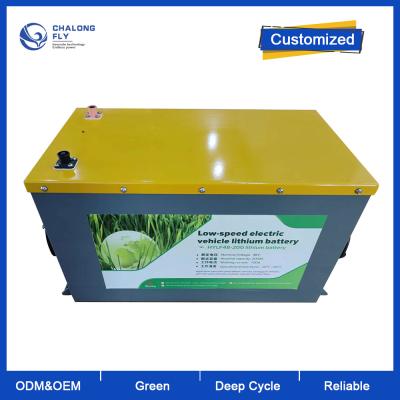 Cina OEM ODM LiFePO4 batteria al litio pacchetto personalizzato carrello elevatore batteria agli ioni di litio 48V 200Ah in vendita