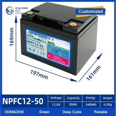 Cina OEM ODM LiFePO4 batteria al litio batteria RV 12V 24V 100Ah 150Ah 200Ah batterie al litio pacchetti in vendita