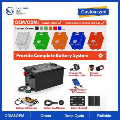 Cina Pacchetto batteria al litio per veicoli elettrici ODM EV per AGV 24V 48V 60V 72V 80V Lifepo4 con Smart BMS per yacht elettrici in vendita