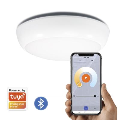 China 16w TUYA App Control Industrial LED Ceiling Light For Home Led Bulkhead Light Bulkhead Wall Lights for sale