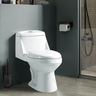 China Modern Simple WC S Ceramic Trap China One-Piece Washdown Easy Clean Chinese Girl Toilet One-Piece Washdown Toilet Special Design for sale