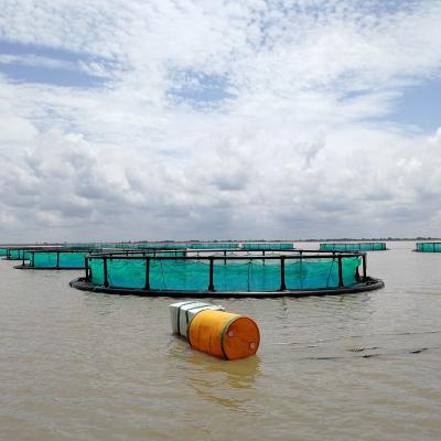 China fish farming lake cages for hdpe floating fish cages farms for sale