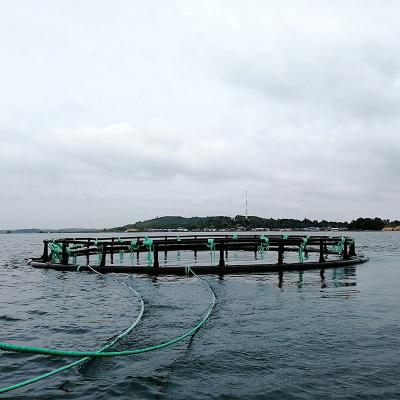 China High quality ptilatic catfish trout farming water floating round Cages of fish for sale