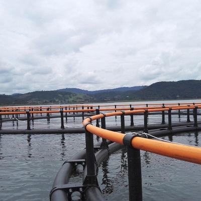 Κίνα HDPE floating farming fish cage net cages Zambia Lake Kariba farms cages προς πώληση