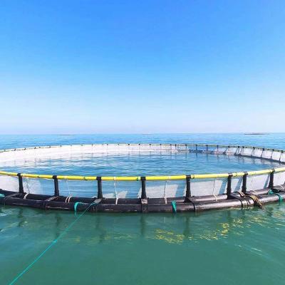 Cina High quality hdpe aquaculture fish farming floating net cages equipment for tilapia fishing cages in vendita