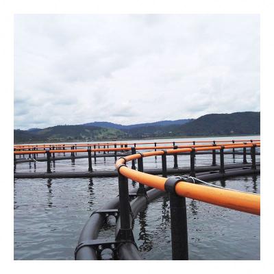 China Hot selling Pontoon water platform floating Floating Aquaculture Fish Round Cages for sale