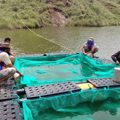 China HDPE Fishing Cage floating Fish farming Cage in lake or river for sale