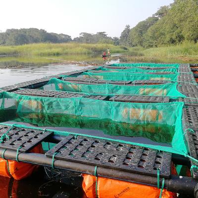 China HDPE pipe frame Square floating ish net cage in sea or lake for sale