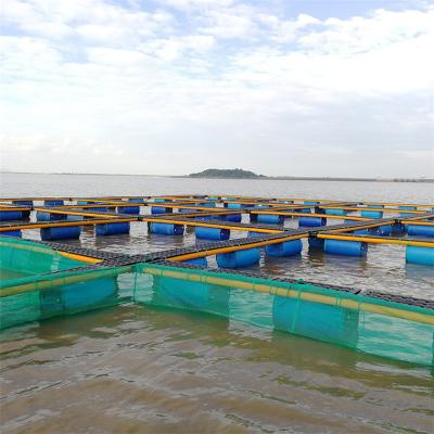 China Customized square pontoon floating cage aquaculture fish farming cage for sale