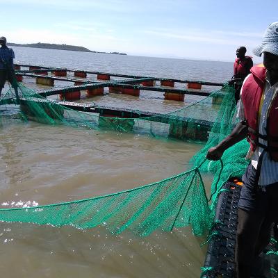 Κίνα HDPE Bracket Floating hdpe fish farming cage floating προς πώληση