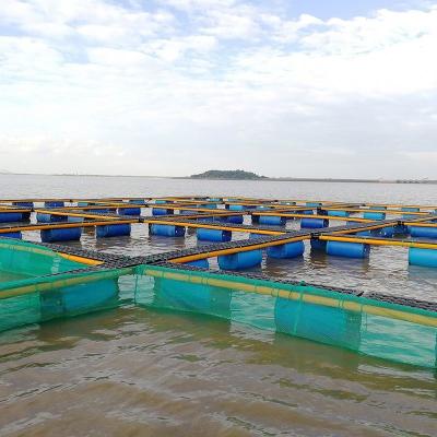 China HDPE fish aquaculture farm equipment/fish aquaculture floating Square Cages net en venta