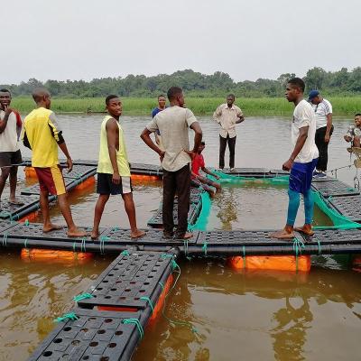 China fish farming lake Square Cages for hdpe floating fish Square Cages farms for sale