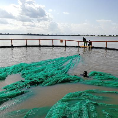 China fingerling fishing net, hapa fish farming PE net for sale