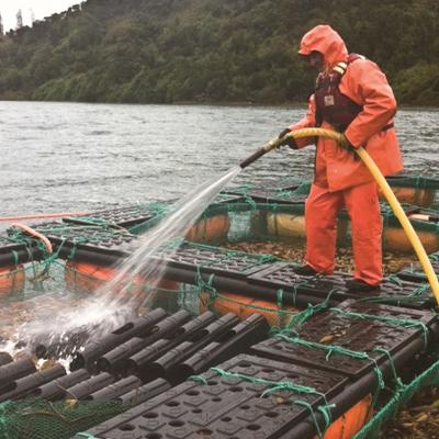 China Sea Cucumber and Abalone floating cage for sale for sale