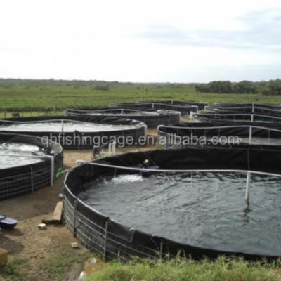 China circulating aquaculture tanks for lungfish for sale