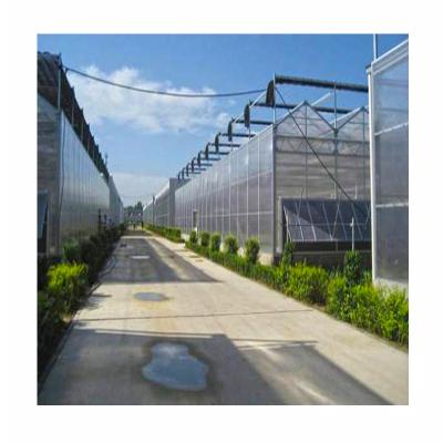 China Large Size PC Sheet Venlo Circuit Board Commercial Hydroponic Greenhouse For Sale for sale