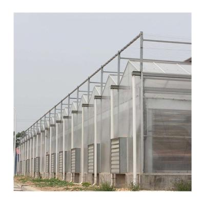 China Large Size Commercial PC Sheet Venlo PC Sheet Greenhouse For Vegetables for sale